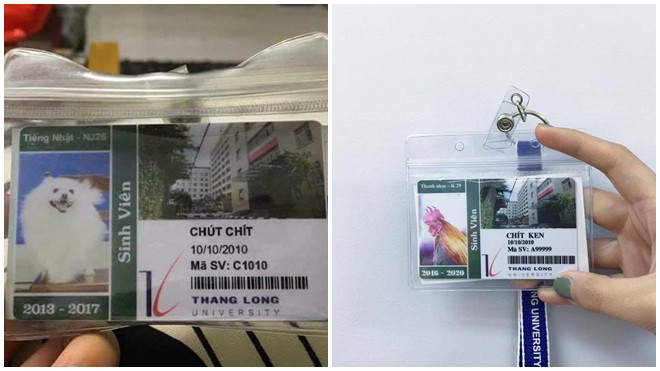 Tin được không, Đại học Thăng Long làm 'thẻ sinh viên' cho cả gà và chó? Ảnh 2