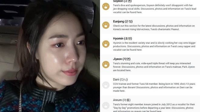 Quá giả tạo, Hwayoung bị fansite quốc tế của T-ara thẳng thừng 'gạch tên' Ảnh 2