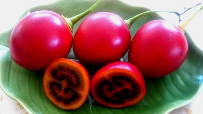 Cà chua lạ 1 triệu đồng/kg gây sốt thị trường Hà Nội Ảnh 2