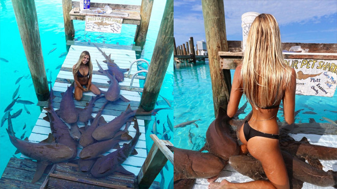 Trao đổi sinh trường Harvard nổi tiếng khắp Instagram với loạt ảnh chụp cùng sinh vật biển cực nóng bỏng Ảnh 2