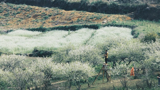 Mộc Châu mùa mận trắng và bầy trẻ con biết vui khi thấy mùa hoa về Ảnh 2