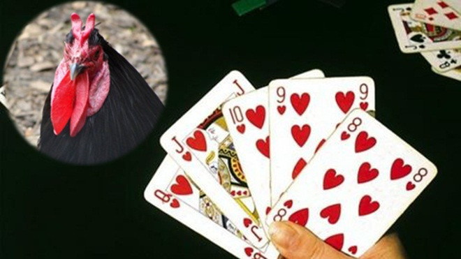 Công an xã bắt tại trận nhóm 4 người đánh bài ăn thịt gà ở Cà Mau Ảnh 2