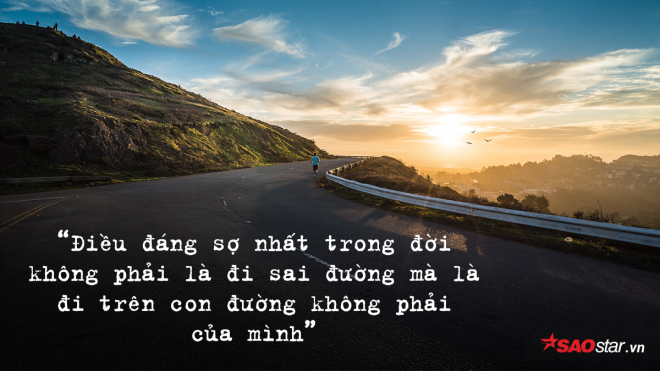 Lời khuyên của một chú mèo trong truyện làm thức tỉnh hàng triệu người trẻ về con đường mình đang đi Ảnh 2
