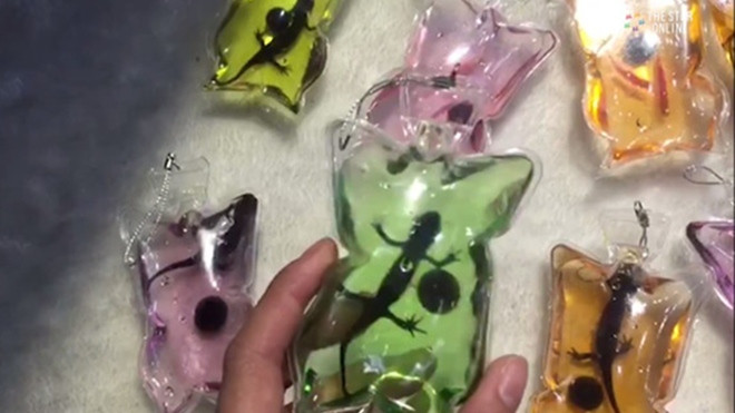 Trung Quốc: Tràn lan móc khóa chứa động vật còn sống ngoe nguẩy bên trong Ảnh 2