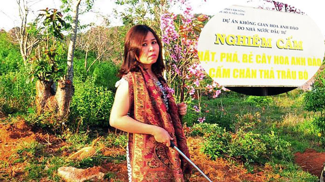 Chuyện phá hoại đào Đà Lạt: Khi bà Phó giám đốc sở tuổi 'con cua' Ảnh 2