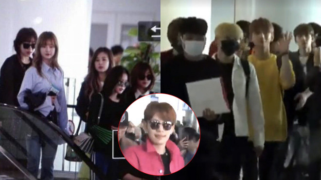 Fan Việt bấn loạn khi được gặp A Pink, Se7en và SEVENTEEN 'bằng xương bằng thịt' Ảnh 2