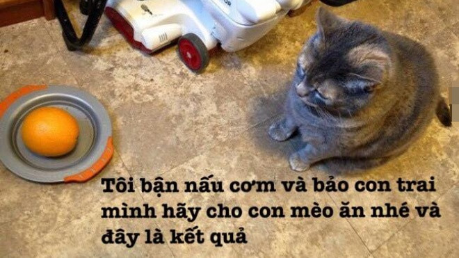 Khi những đứa trẻ 'tinh quái' quá nghe lời khiến các ông bố bà mẹ phải 'lặng câm' Ảnh 2