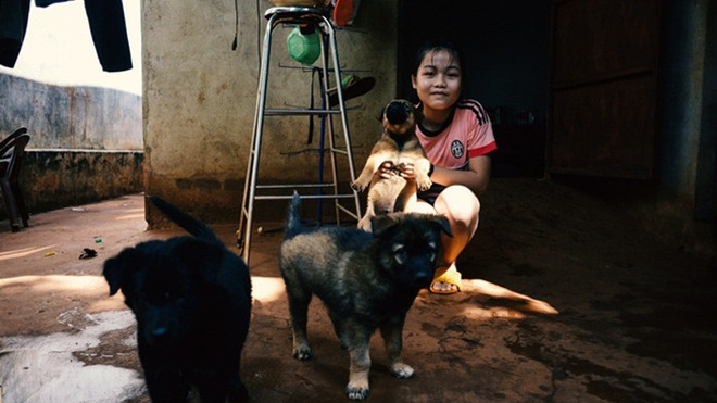 Những mẩu chuyện nhỏ xinh của người Sài Gòn yêu mèo, yêu chó! Ảnh 2