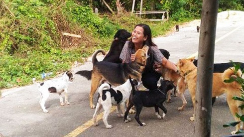 Cho chó ăn mỗi ngày, người phụ nữ Thái Lan không ngờ chuyện này lại xảy ra Ảnh 2