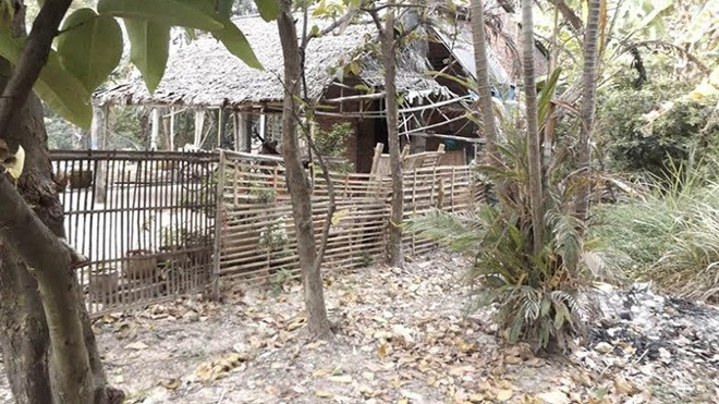 Bé gái 11 tuổi nghi bị cha và ông nội xâm hại Ảnh 2