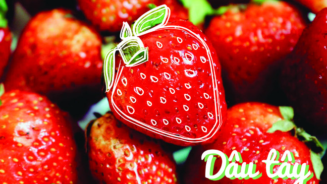 50 sắc thái dâu tây: Có những bí mật về loại quả này mà bạn chưa từng nghe đến! Ảnh 2