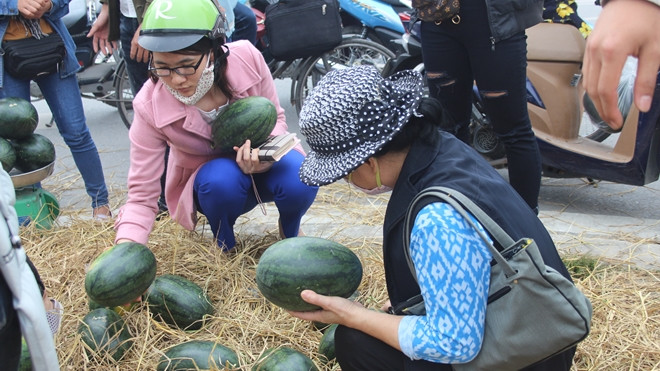 Chúng ta còn tiếp tục 'giải cứu' dưa hấu đến bao giờ? Ảnh 2