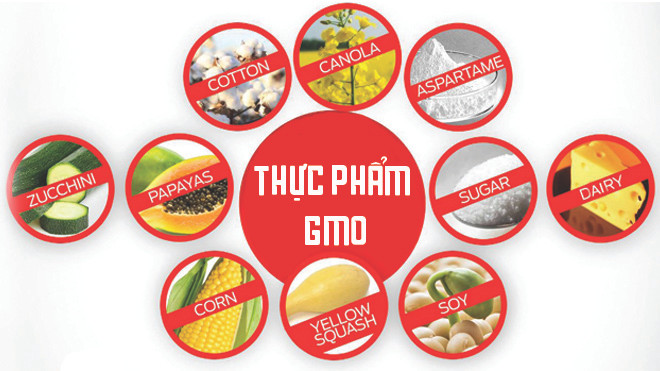 Thực phẩm GMO: Bước tiến của khoa học hay mầm mống huỷ diệt tự nhiên Ảnh 2