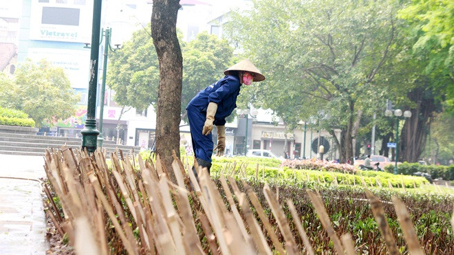 Hà Nội: Cắm chông bảo vệ cây xanh không khác gì 'đánh bẫy' người dân Ảnh 2