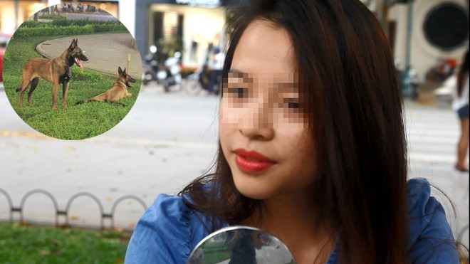 Cho chó chạy lung tung, phóng uế bừa bãi là…'chuyện bình thường'? Ảnh 2