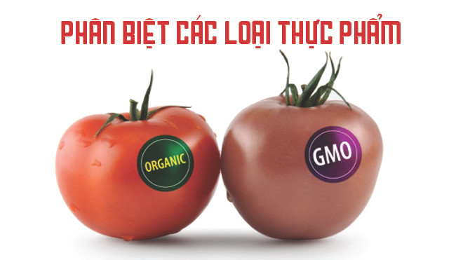 Nhận biết sự khác nhau giữa thực phẩm hữu cơ và thực phẩm biến đổi gen Ảnh 2