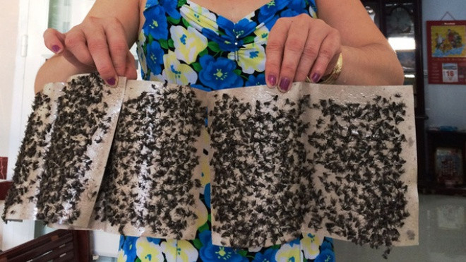 Cần Thơ: Sau vụ cháy cực lớn kéo dài 5 ngày, 'giặc ruồi' bất ngờ bủa vây Ảnh 2