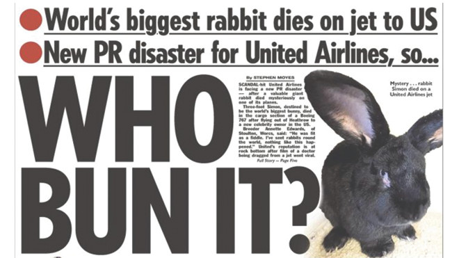 Sự mất tích bí ẩn của chú thỏ lớn nhất thế giới trên máy bay United Airlines Ảnh 2