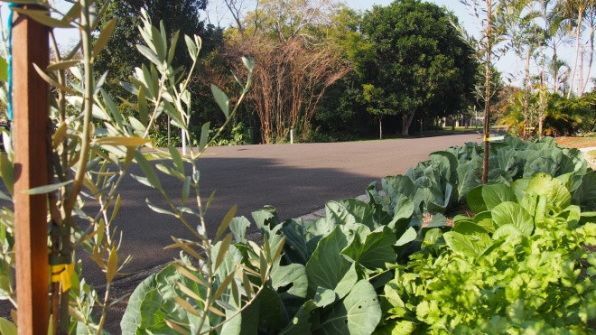 Australia: Có một con đường chỉ cần nhìn là muốn ăn Ảnh 2