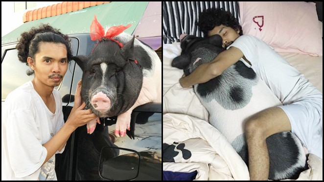Truy lùng facebook chàng trai người Thái nuôi heo để làm 'bạn gái' Ảnh 2