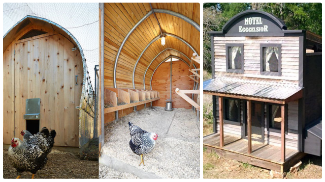 Thật khó tin khi đến chuồng gà cũng được thiết kế giống lâu đài, khách sạn như thế này! Ảnh 2