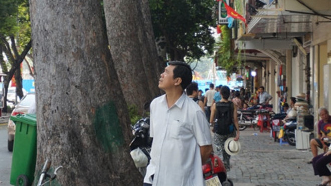 Người dân tiếc nuối hàng cổ thụ bị đốn hạ để làm metro Ảnh 2