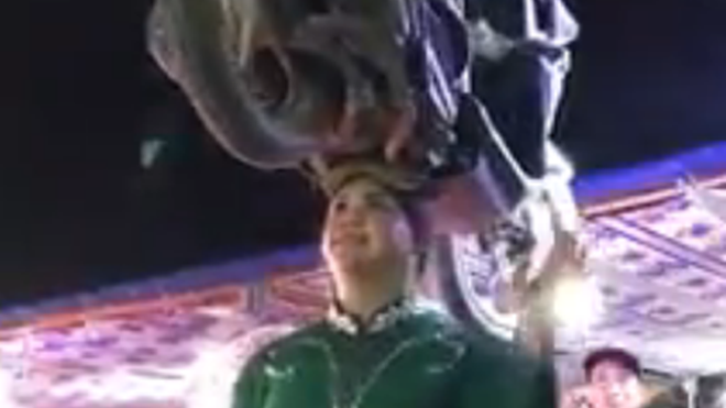 Clip cô gái đội xe máy trên đầu biểu diễn xiếc gây bão cộng đồng mạng Ảnh 2