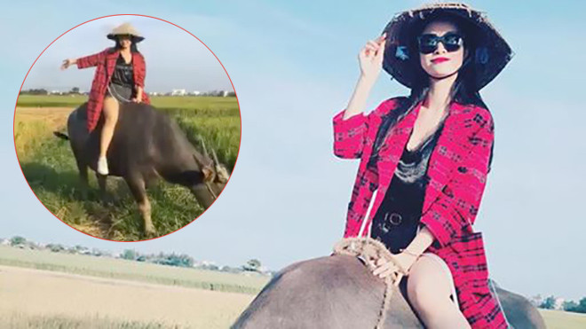 Fan không nhịn được cười nhìn Đông Nhi đội nón lá, cưỡi trâu ra đồng làm việc Ảnh 2