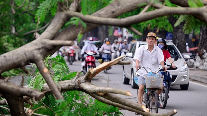 Thời tiết mùa hè năm 2017: Nắng nóng, mưa bão diễn biến phức tạp, trái quy luật Ảnh 2
