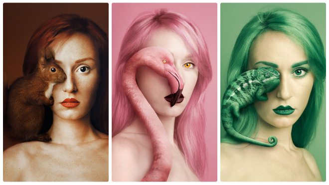 Con người và động vật xuất hiện cùng nhau trong bộ ảnh ghép mắt tuyệt đẹp Ảnh 2