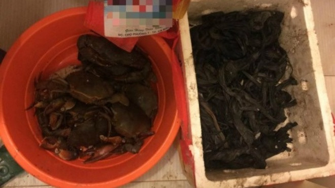 Khóc thét, mua 10kg cua biển 'ăn' 6kg dây buộc bằng vải xốp ngâm bùn Ảnh 2