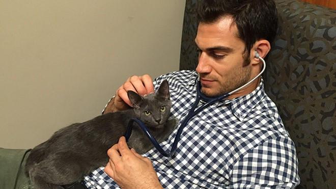 Việc tìm người: Chỉ ôm mèo cả ngày, vẫn hưởng lương thỏa đáng Ảnh 2