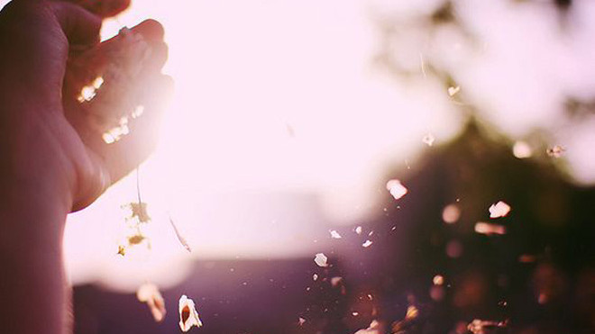 Trải lòng mình bằng những vần thơ tình sống cùng theo năm tháng của Xuân Quỳnh Ảnh 2