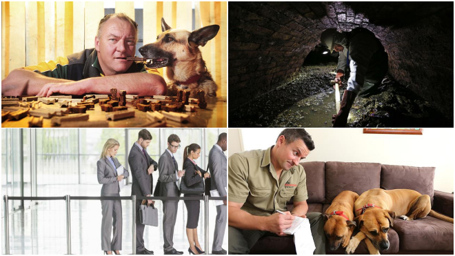 10 công việc thật ối giời ơi nhưng vẫn nhận mức lương trên trời Ảnh 2