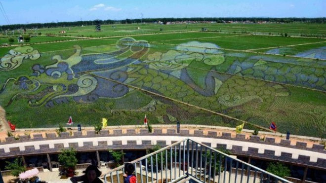 Những bức tranh 3D tuyệt đẹp được vẽ trên đồng lúa của nông dân Trung Quốc Ảnh 2