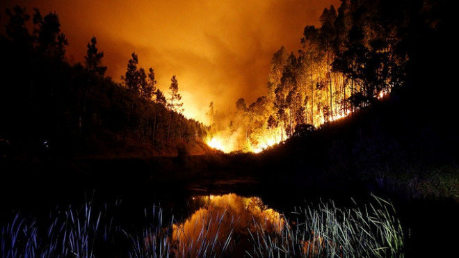 Thảm họa cháy rừng ở Bồ Đào Nha khiến 61 người thiệt mạng Ảnh 2