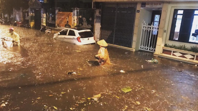 Mưa lớn trút xuống giờ tan tầm, Hà Nội bây giờ phố cũng như sông Ảnh 2