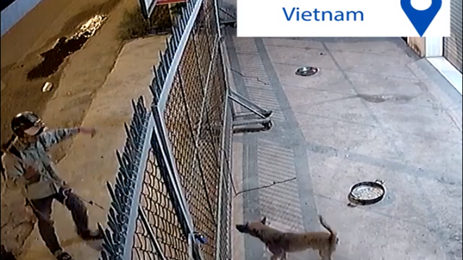 Clip dùng súng điện trộm chó, uy hiếp chủ nhà ở TP.HCM lên báo nước ngoài Ảnh 2