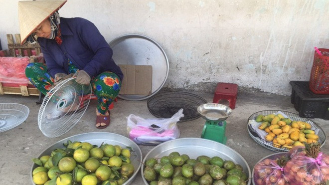 Xoài tí hon Trung Quốc tràn vào Việt Nam Ảnh 2