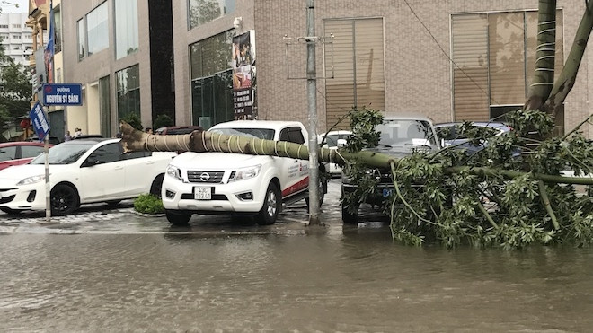 Nghệ An: Tan hoang sau bão, cây xanh bật gốc đè ô tô, người dân chặt cây tìm đường vào nhà Ảnh 2
