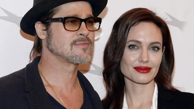 Angelina Jolie - Brad Pitt bí mật gặp nhau ở cửa hàng thú cưng Ảnh 2