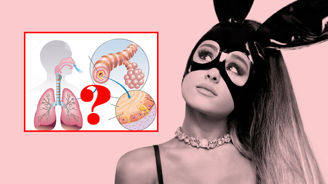 Phải chăng căn bệnh này chính là lý do khiến Ariana Grande hủy tour tại Việt Nam? Ảnh 2