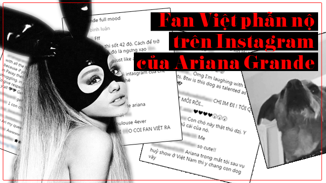 Hệ lụy từ việc hủy show: Fan Việt 'nổi trận lôi đình' hỗn chiến fan quốc tế trên Instagram của Ariana Grande Ảnh 2