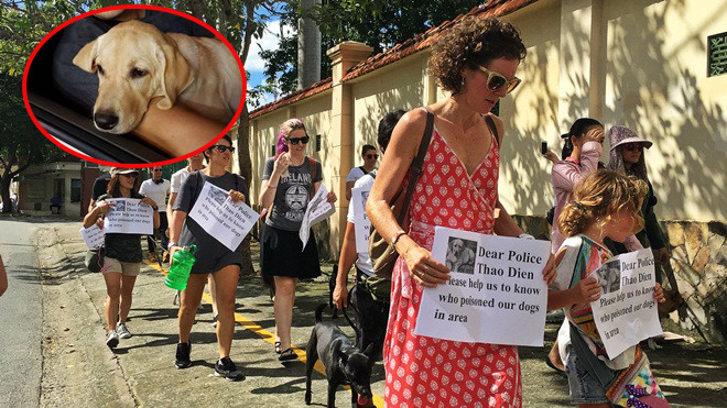 Người nước ngoài ở Sài Gòn kêu cứu về tình trạng chó bị đầu độc hàng loạt Ảnh 2