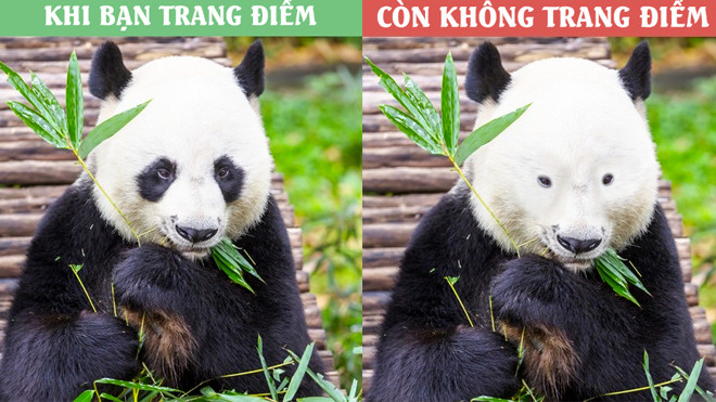 Những sự thật chỉ có bọn con gái chúng mình mới hiểu thôi Ảnh 2