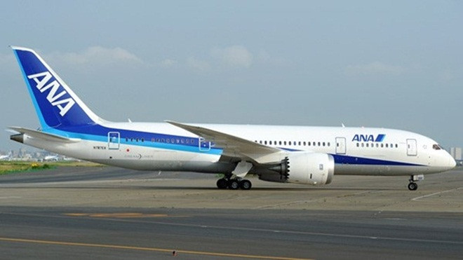 Phi công phân tích chuyện máy bay bị sét đánh khi hạ cánh ở Nội Bài Ảnh 2