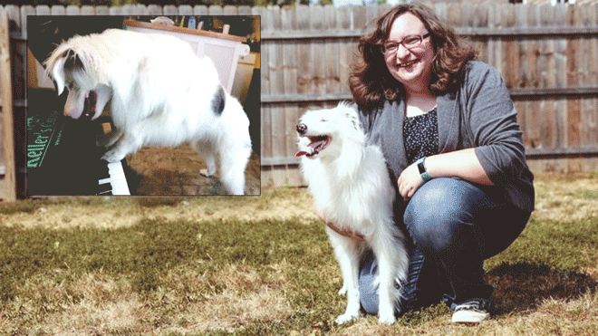 Xúc động trước đam mê âm nhạc của chú chó câm điếc bẩm sinh Ảnh 2