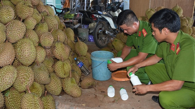 Bắt quả tang cơ sở sử dụng hóa chất làm chín hơn 1 tấn sầu riêng Ảnh 2