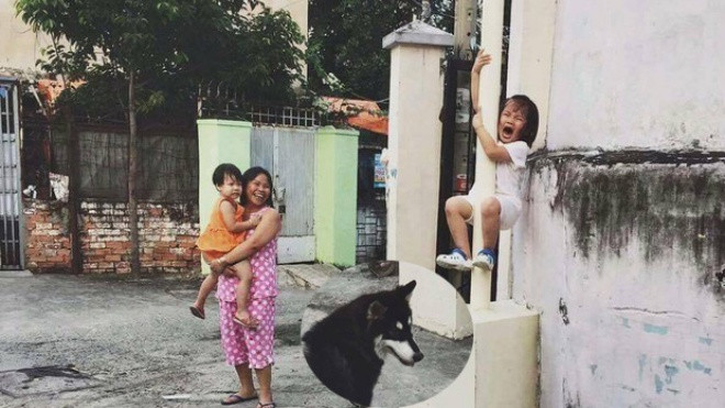 Bức ảnh cực hot mạng xã hội: Bé gái khóc thét, leo tót cột điện vì sợ chó Ảnh 2