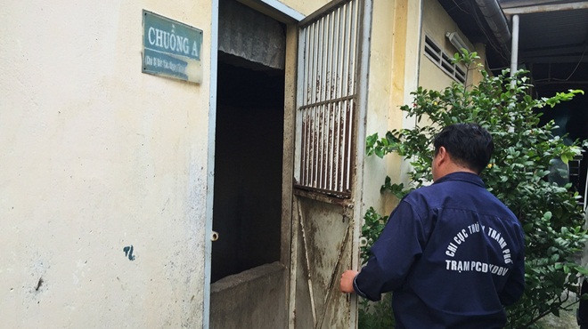 Đội trưởng đội bắt chó thả rông: ‘Anh em chúng tôi nhường cả thức ăn cho những con chó mình bắt về’ Ảnh 2